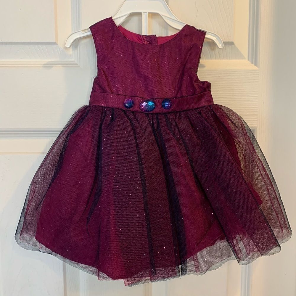 Sweet Heart Rose Girls Party Dress NWT